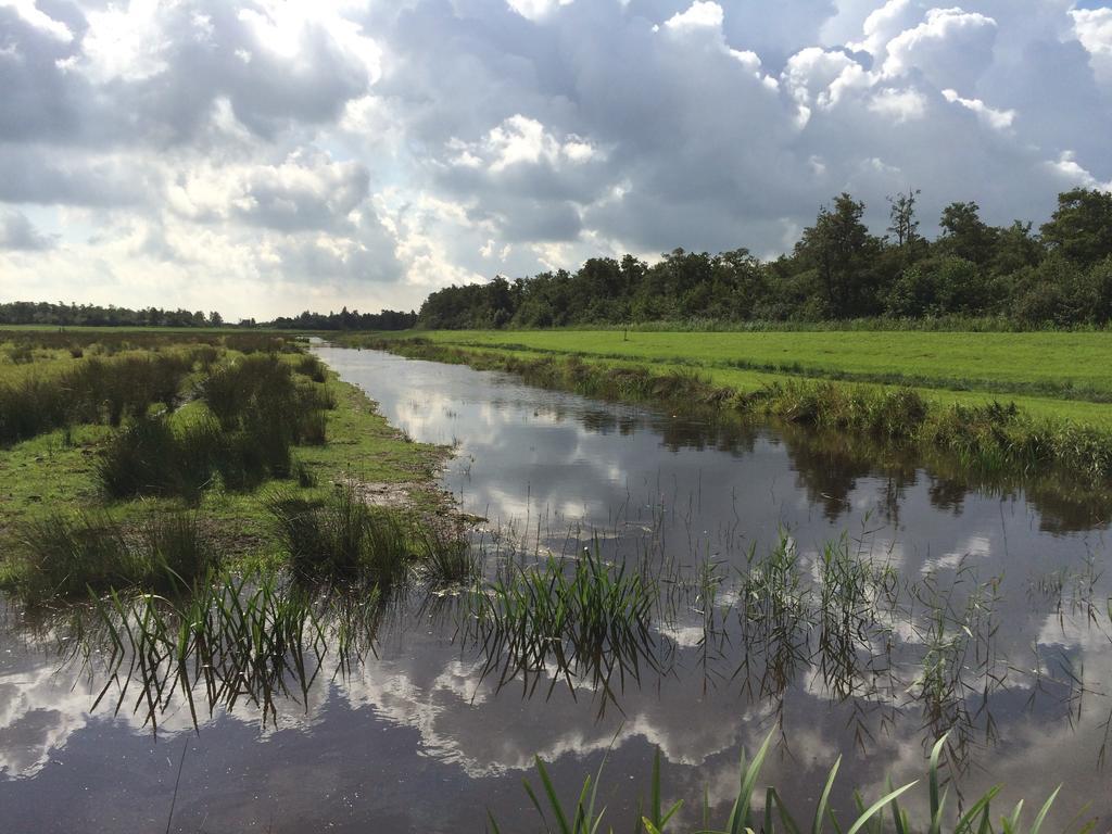 Private Island De Sayter Villa Warten Exteriör bild